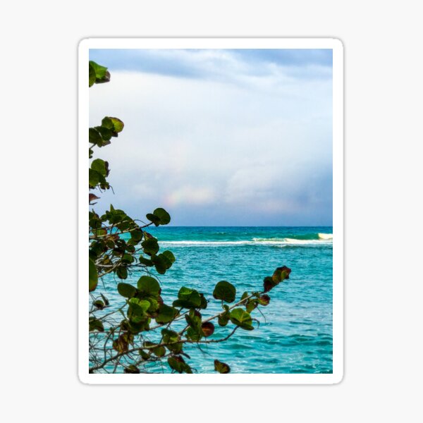 Aquamarine Ocean Blue Caribbean Sea in Jamaica Sticker