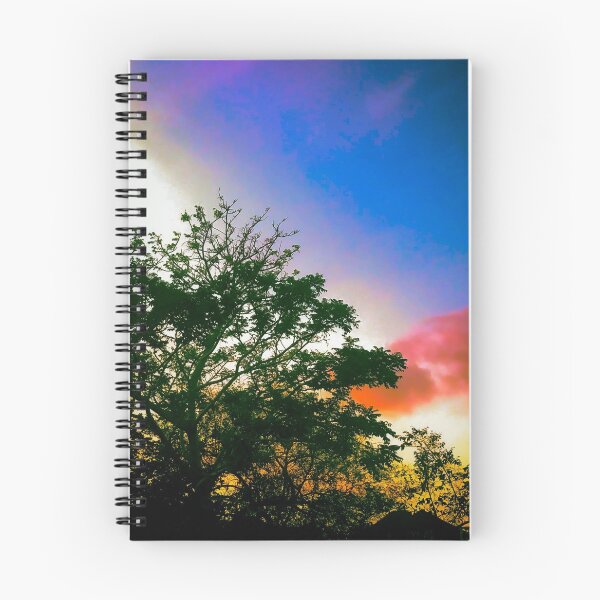 Aperçu de l'œuvre Coucher de soleil coloful prune de juin créée et vendue par Mick DiArtist.