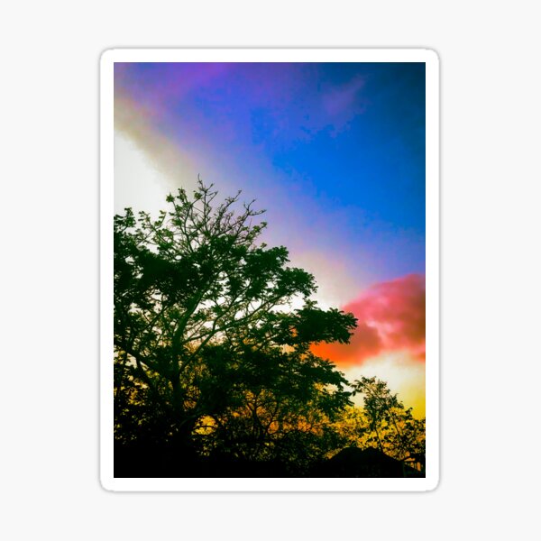 June Plum Coloful Sunset Sticker