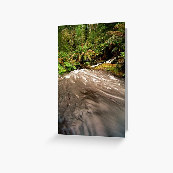 Item preview, Rainforest Stream, The Otways designed and sold by Kevin McGennan.