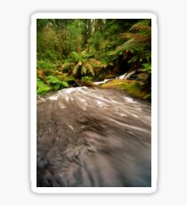 Rainforest Stream, The Otways Sticker