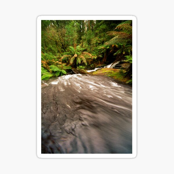 Item preview, Rainforest Stream, The Otways designed and sold by Kevin McGennan.