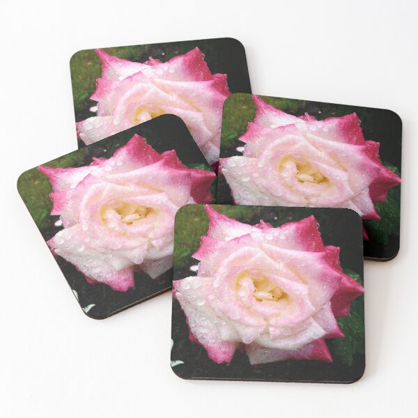 Item preview, PALE PINK ROSE AND RAINDROPS   designed and sold by JoAnnHayden.