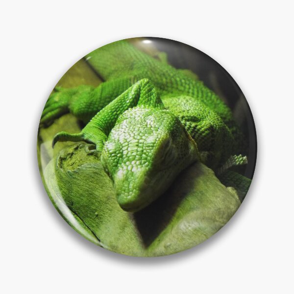 Item preview, Lounging Lizard designed and sold by Seth Statham.