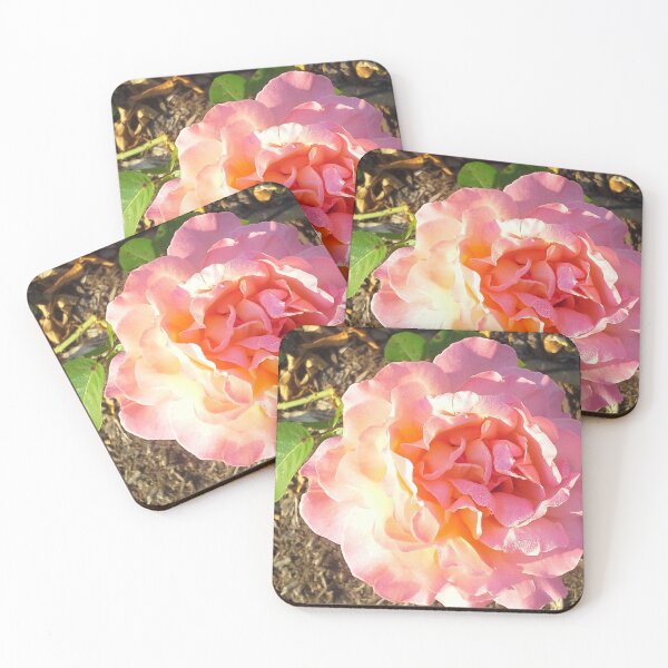 Item preview, PINK ROSE IN FULL BLOOM  designed and sold by JoAnnHayden.