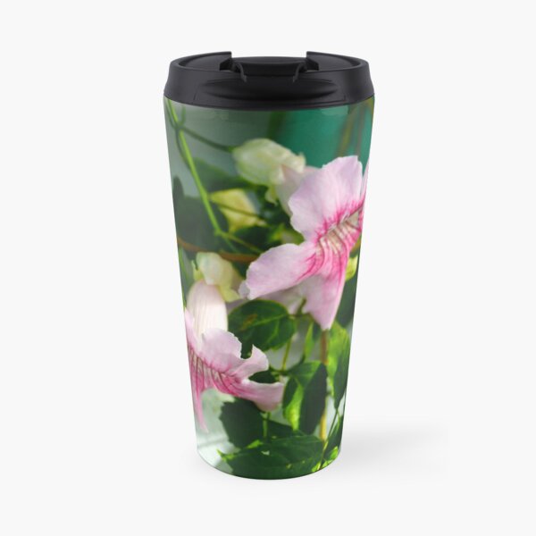 Blooming Pink Trumpet Vine or Podranea Travel Mug