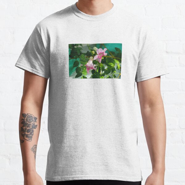 Blooming Pink Trumpet Vine or Podranea Classic T-Shirt