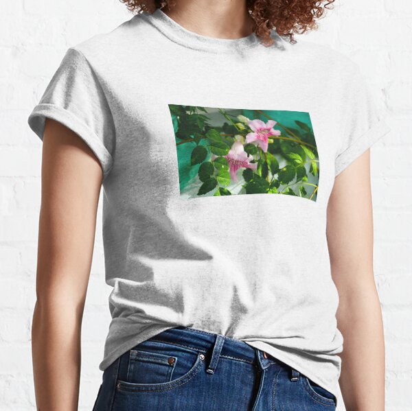 Blooming Pink Trumpet Vine or Podranea Classic T-Shirt