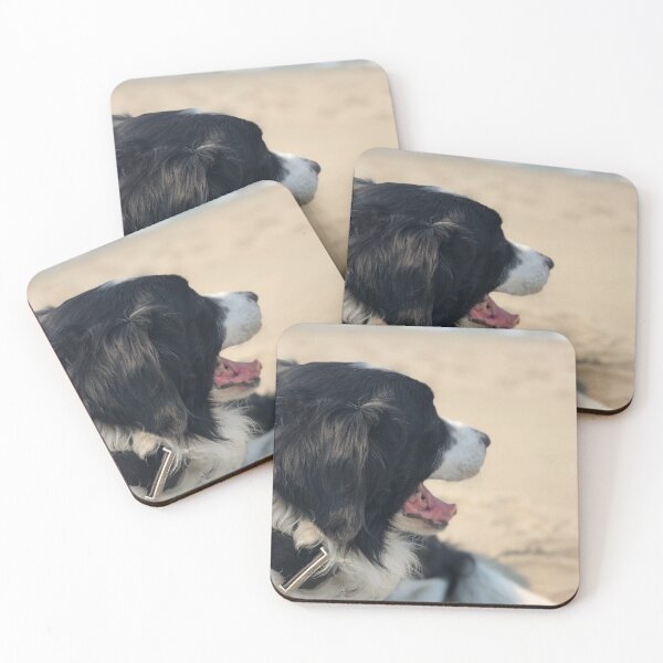 Item preview, Border Collie at the Beach designed and sold by JennBBDesigns.