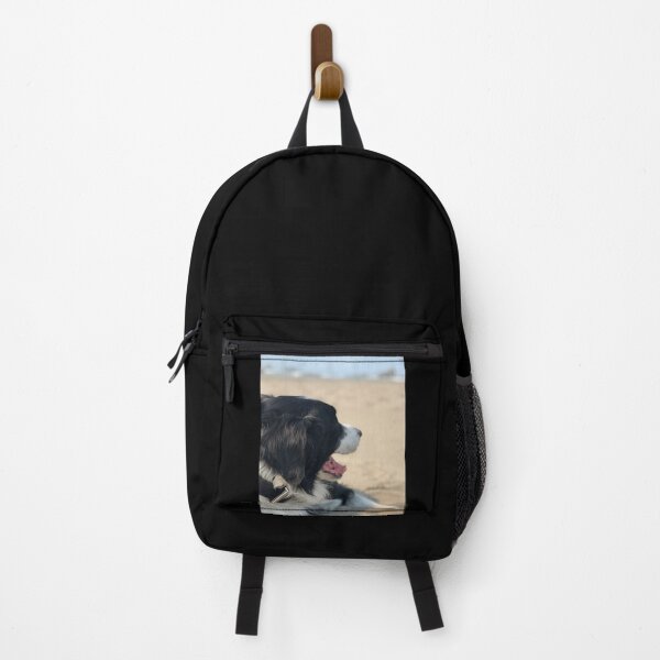 Item preview, Border Collie at the Beach designed and sold by JennBBDesigns.