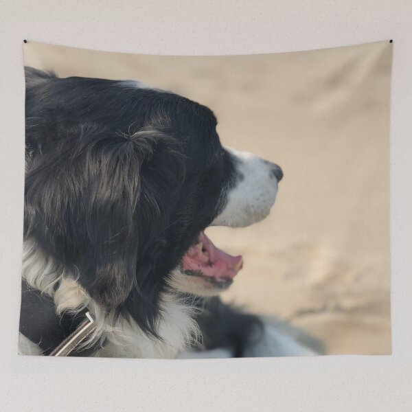 Item preview, Border Collie at the Beach designed and sold by JennBBDesigns.