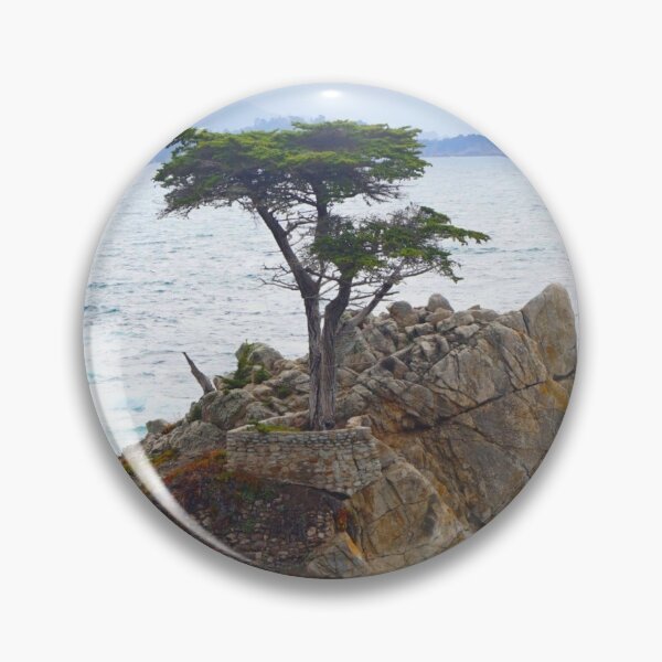 Item preview, The Lone Cypress designed and sold by Margaret Stevens.