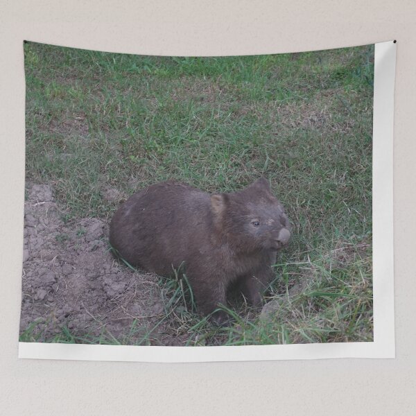 Item preview, Wombat Photo designed and sold by Artstastic.