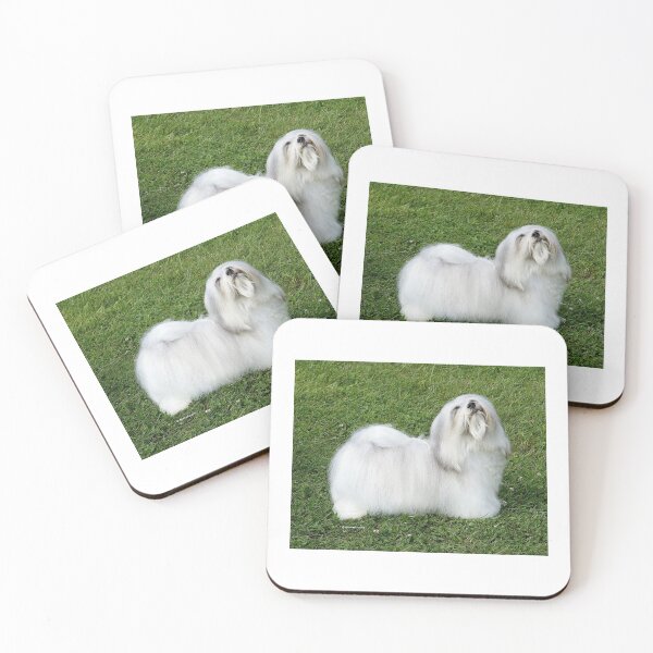 Item preview, Havanese designed and sold by Terry McNamee.
