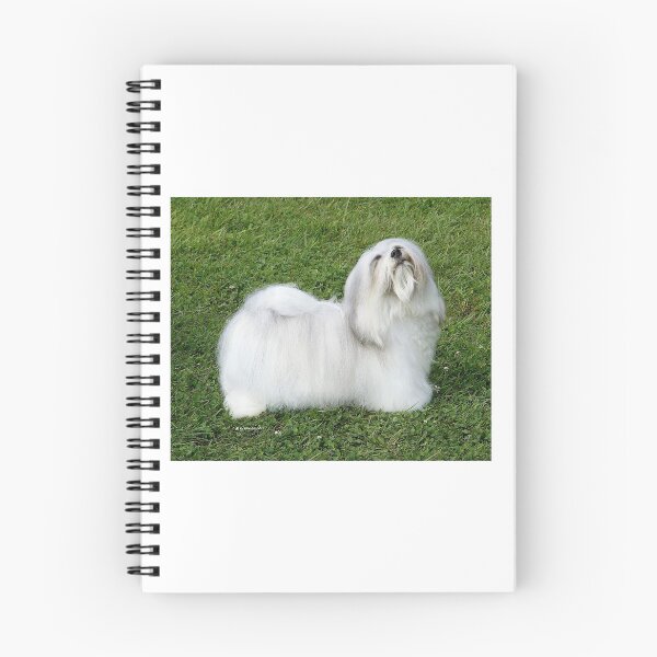 Item preview, Havanese designed and sold by Terry McNamee.
