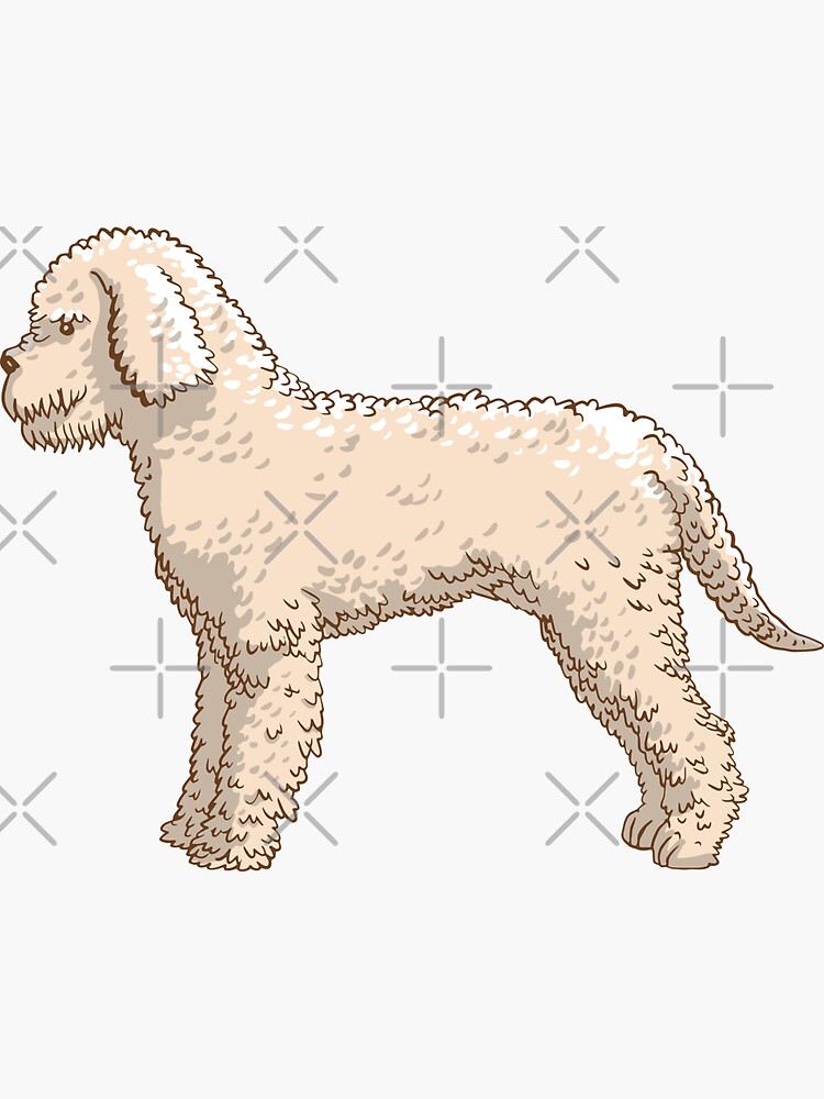 6 Lagotto Romagnolo Truffle Dog Blank Art Note Greeting Cards 