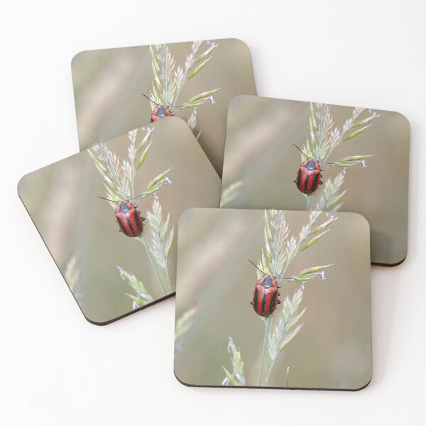 Item preview, Striped rape leaf beetle designed and sold by NW-Photo-Art.