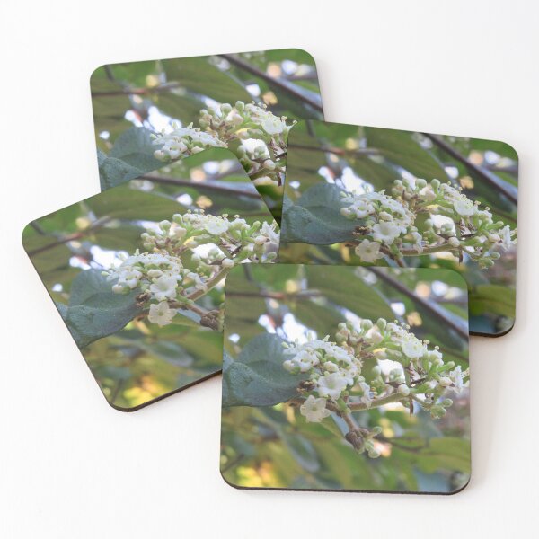 Item preview, Viburnum flowers designed and sold by greentiger1.