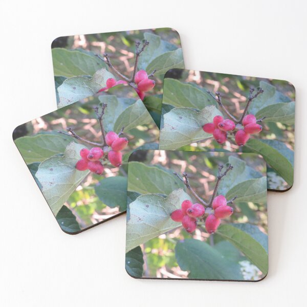 Item preview, Viburnum fruit designed and sold by greentiger1.