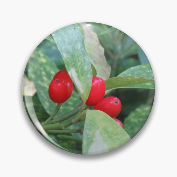 Item preview, Japanese laurel fruit designed and sold by greentiger1.