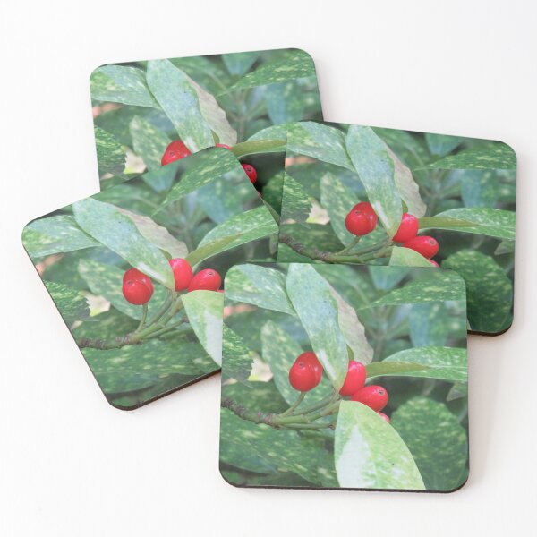 Item preview, Japanese laurel fruit designed and sold by greentiger1.