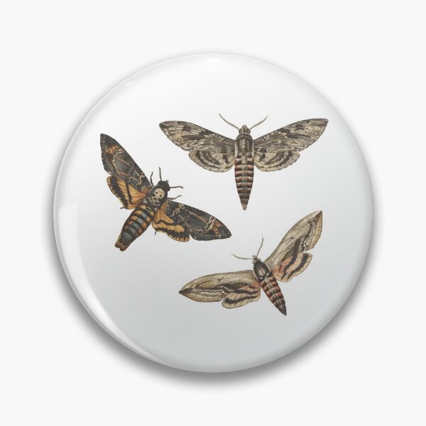 Item preview, National Moth Week designed and sold by kindtoearth.