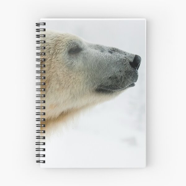 Item preview, Portrait polar bear designed and sold by Ingo Gerlach.