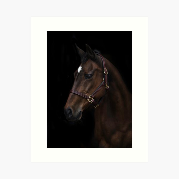 Item preview, Did You Ever See A Sweeter Face? designed and sold by hpuk.