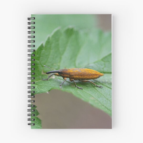Item preview, Hemlock weevil designed and sold by NW-Photo-Art.