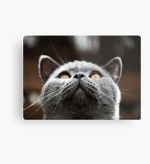 What Are you waiting for? Theres my chin Metal Print