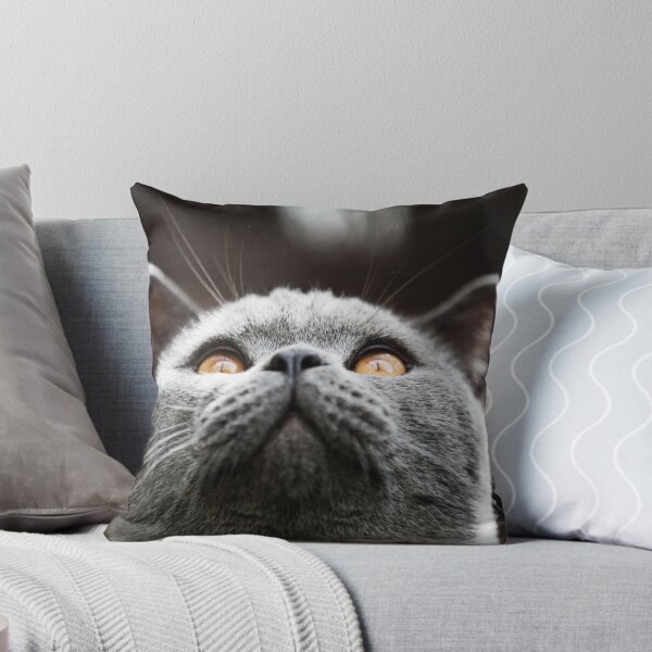 Item preview, What Are you waiting for? Theres my chin designed and sold by hpuk.