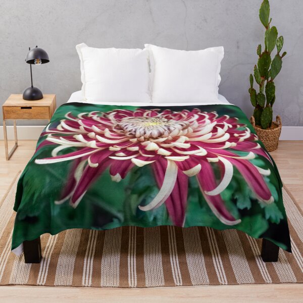 Item preview, Curly Petals in Blond and Red - One Showy Chrysanthemum Bloom designed and sold by Georgia Mizuleva.