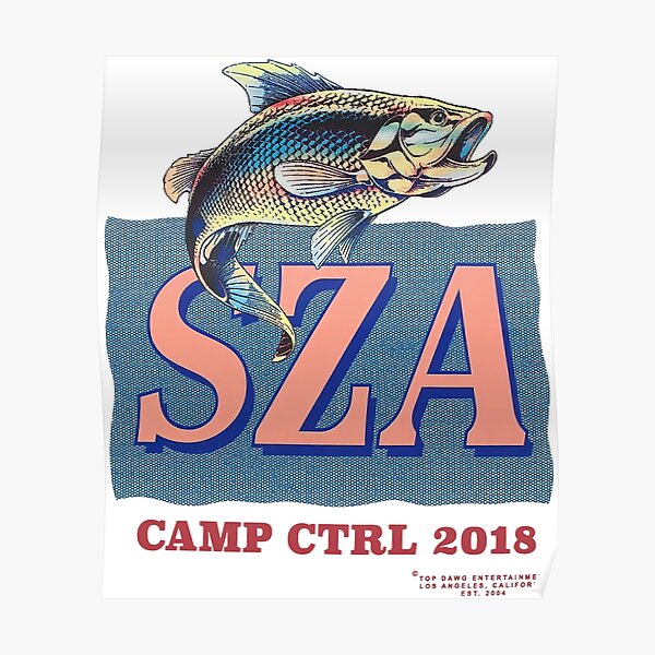 sza camp ctrl Poster