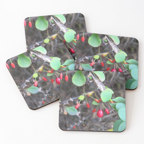 Item preview, Japanese barberry fruit designed and sold by greentiger1.