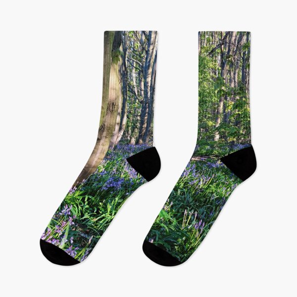 Item preview, Dappled sunshine in Bluebell Woods designed and sold by Violaman.