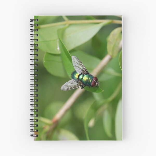 Item preview, Gold fly designed and sold by NW-Photo-Art.