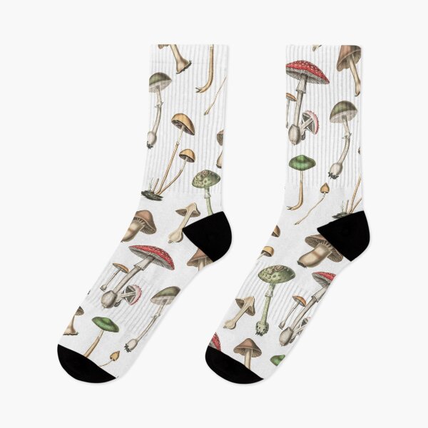 Item preview, Mushrooms Botanical Illustration designed and sold by Freewheeling.