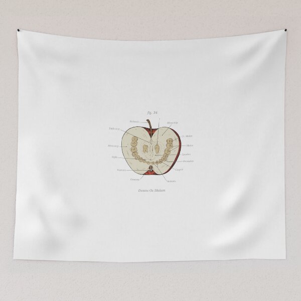 Item preview, The Magnus Archives - Anatomy Class - Teeth Apple  |Gift shirt designed and sold by delpewpaula.