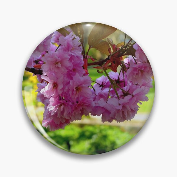 Item preview, Collett Park Blossoms designed and sold by JonDelorme.
