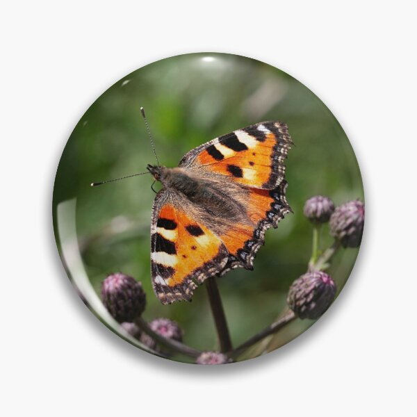 Item preview, Little fox designed and sold by NW-Photo-Art.