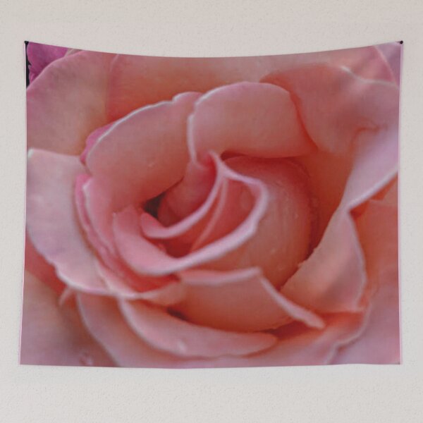 Item preview, FIRST GARDEN ROSE OF SPRING designed and sold by THE AMERICAN TEEVANGELIST.