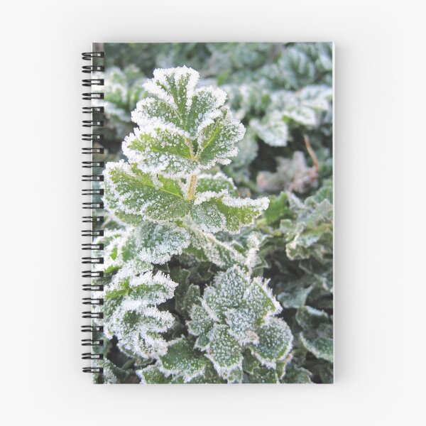 Item preview, Canberra Plant Life designed and sold by DogWithCamera.
