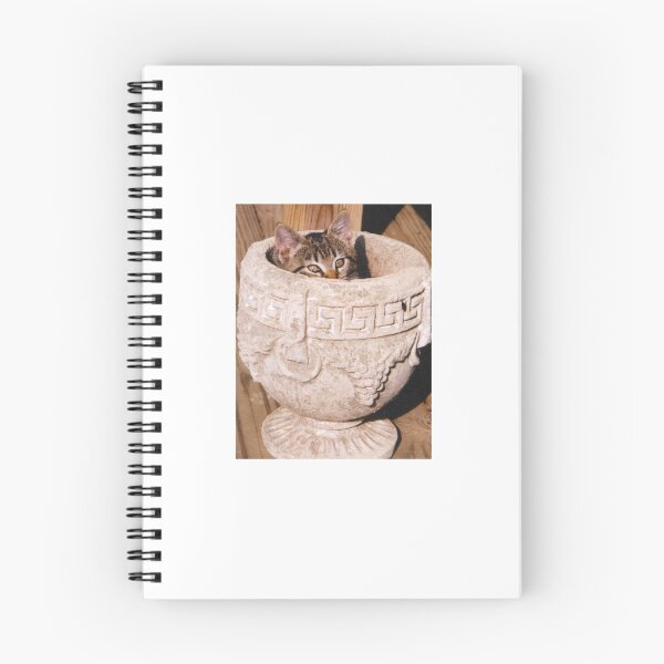 Item preview, Kitten in Grecian Urn Planter designed and sold by Phoebetales.