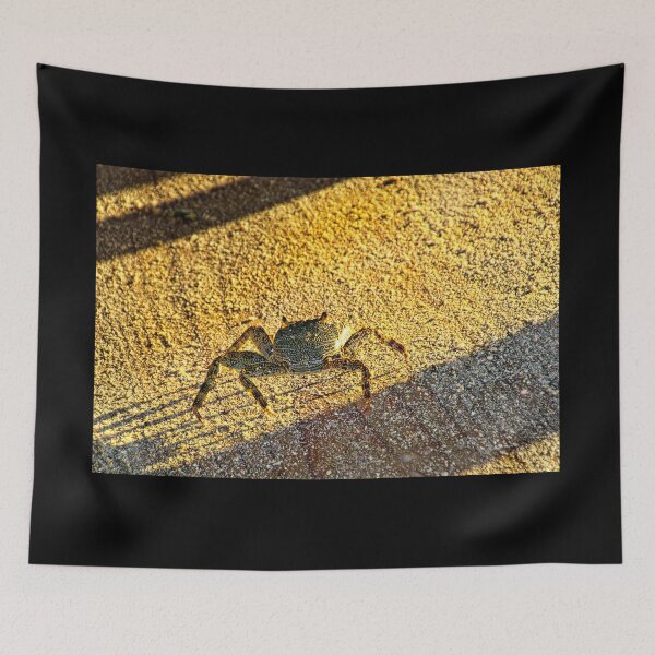 Item preview, Feeling Crabby On Acuario Cay designed and sold by alabca.