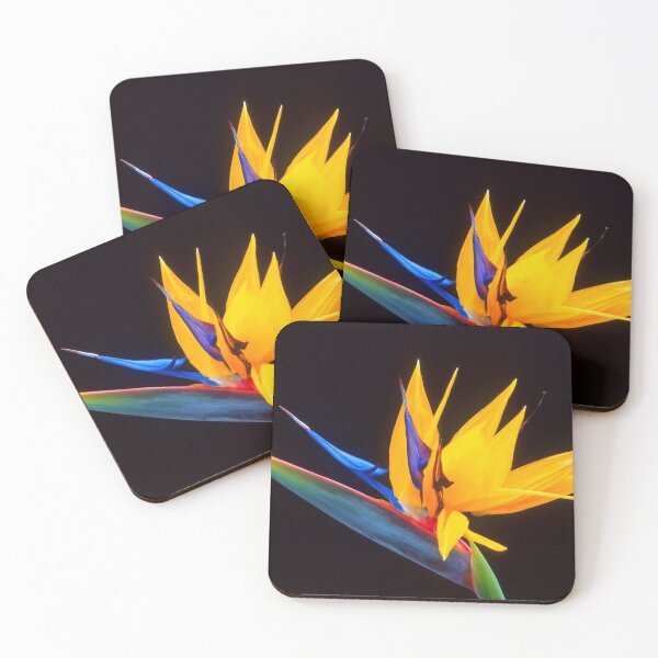Item preview, Strelitzia Isolated On Black Background Photography designed and sold by taiche.