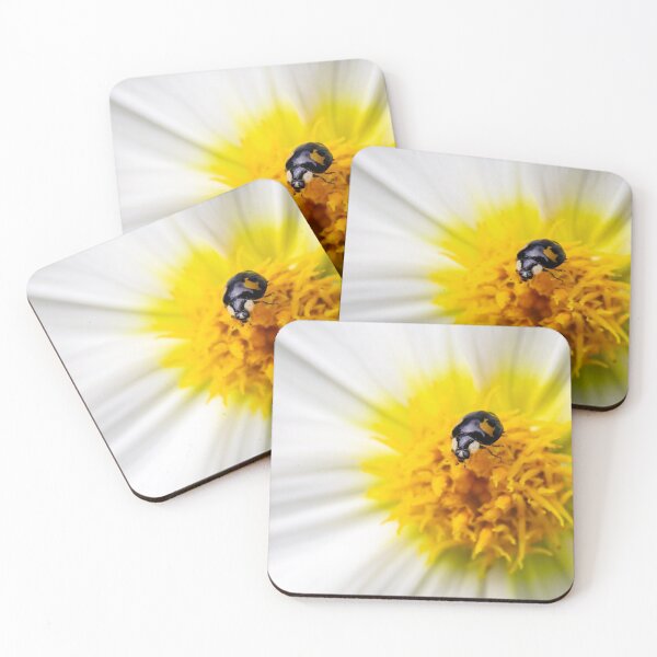 Item preview, Black ladybug on a white dahlia designed and sold by Annika Westgeest.
