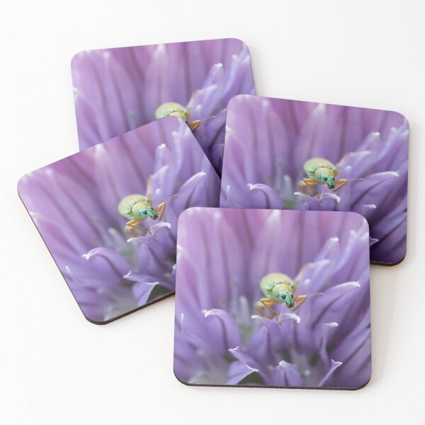 Item preview, Weevil in purple designed and sold by Annika Westgeest.