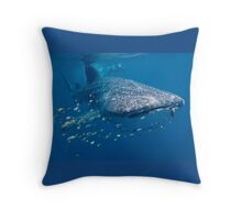 whale shark pillow