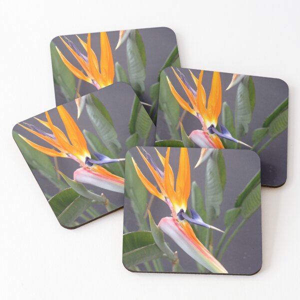 Item preview, Exotic Multicolored Crane Flower Photograph designed and sold by taiche.