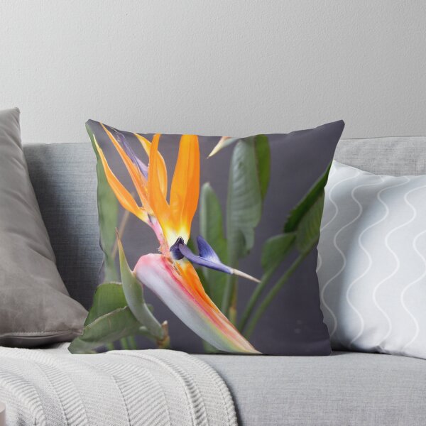 Item preview, Exotic Multicolored Crane Flower Photograph designed and sold by taiche.